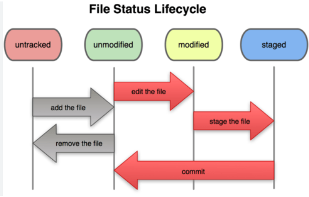 Navigating the File Status Lifecycle in Git